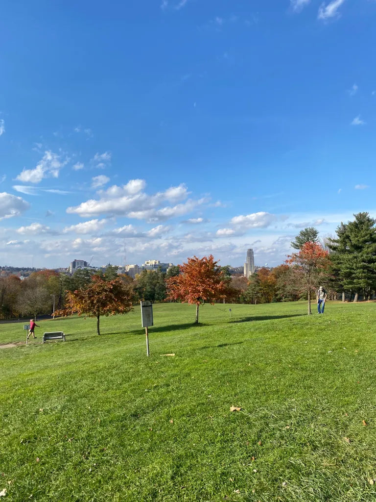 Schenley Park Topographic Map with Fuzz