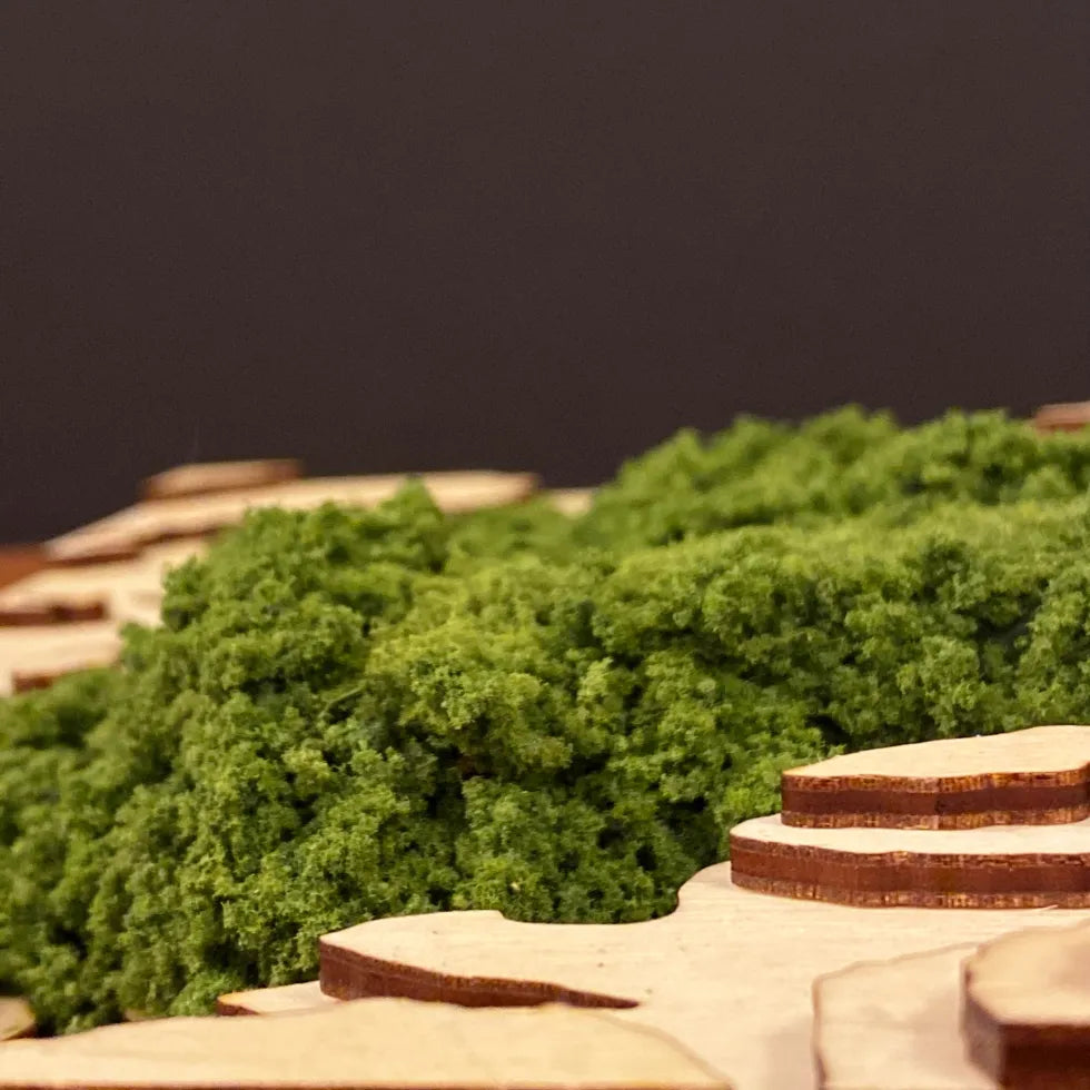 Schenley Park Topographic Map with Fuzz