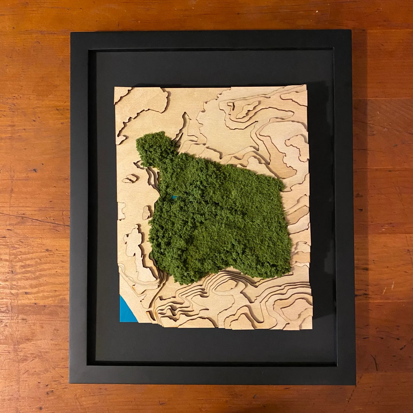 Schenley Park Topographic Map with Fuzz