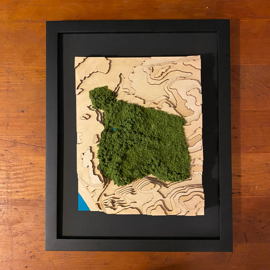Schenley Park Topographic Map with Fuzz