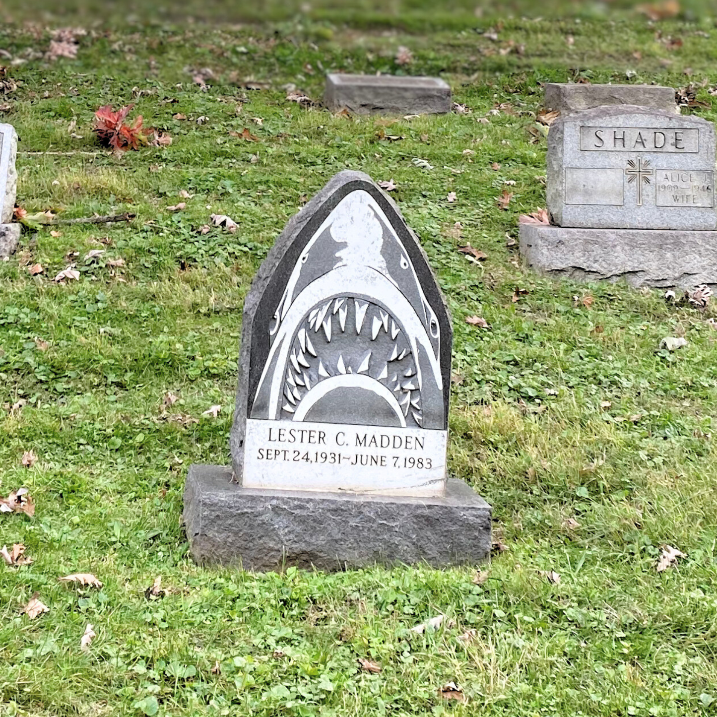 Jaws Grave