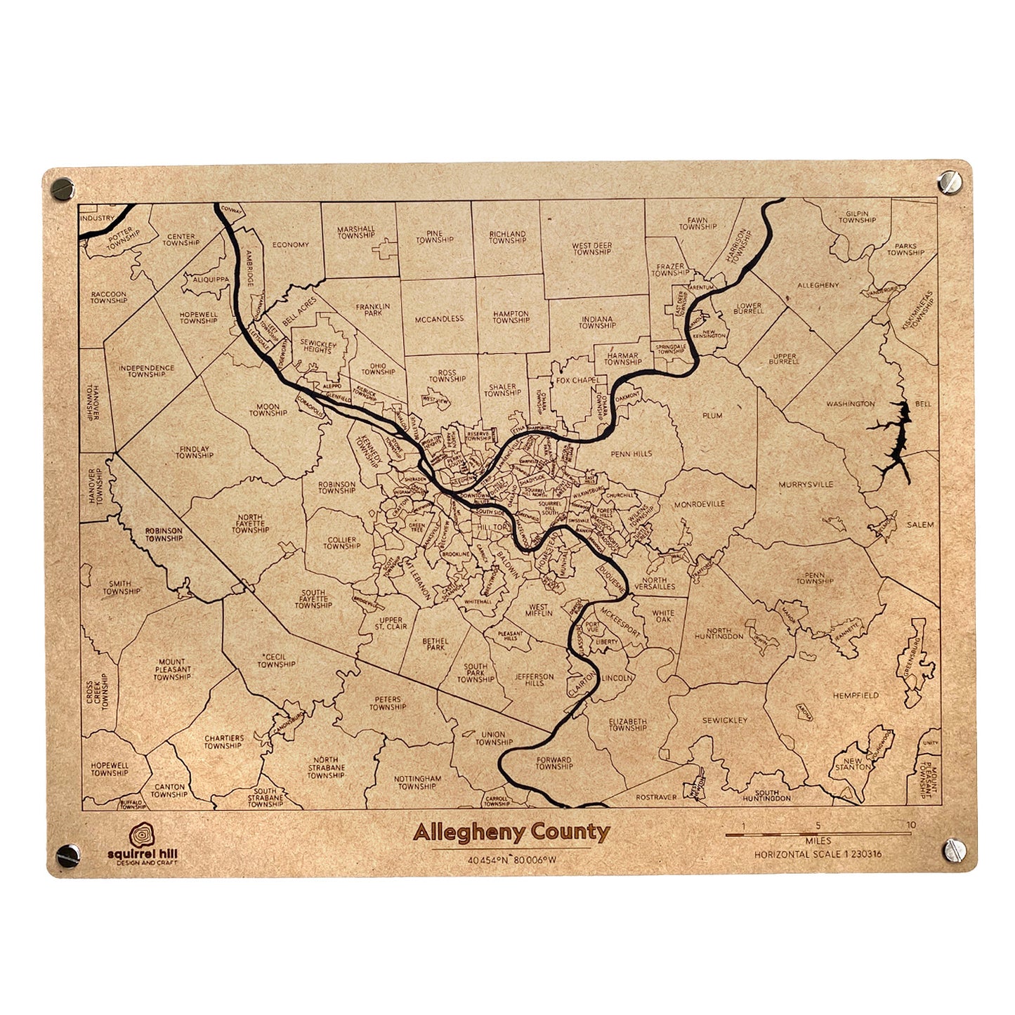 Allegheny County Puzzle Map