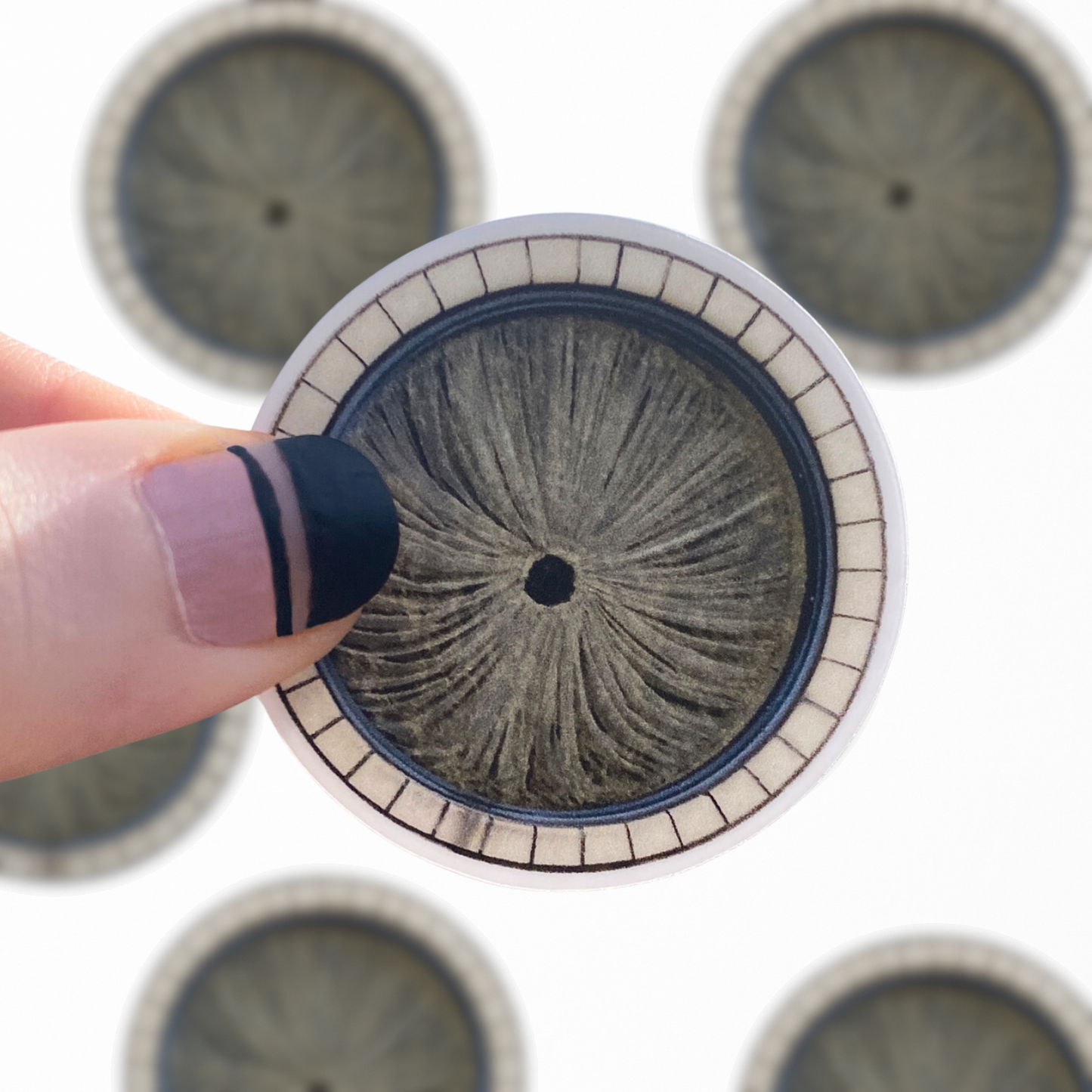 Butthole Window Pittsburgh Sticker