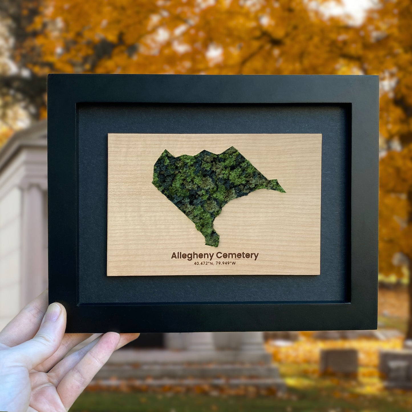 Parks and Green Spaces Framed Mini Maps