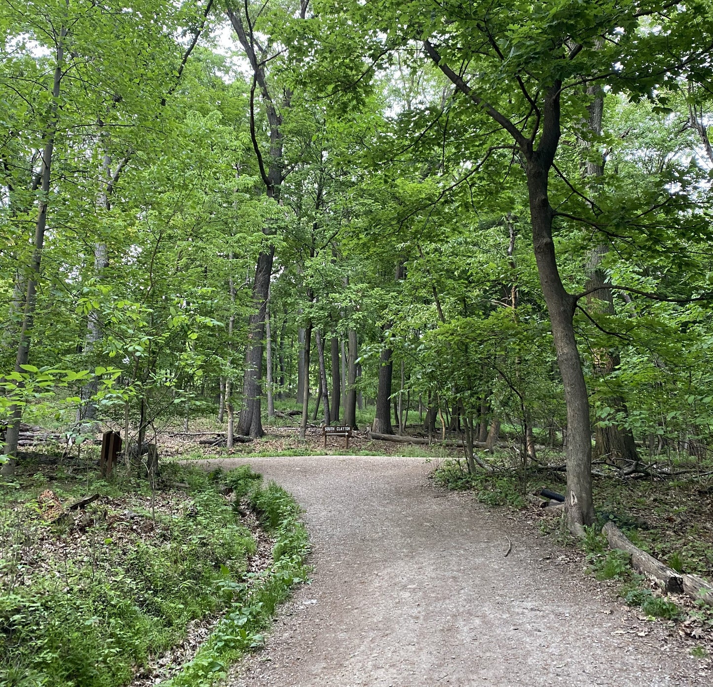 Frick Park Topographic Map with Fuzz