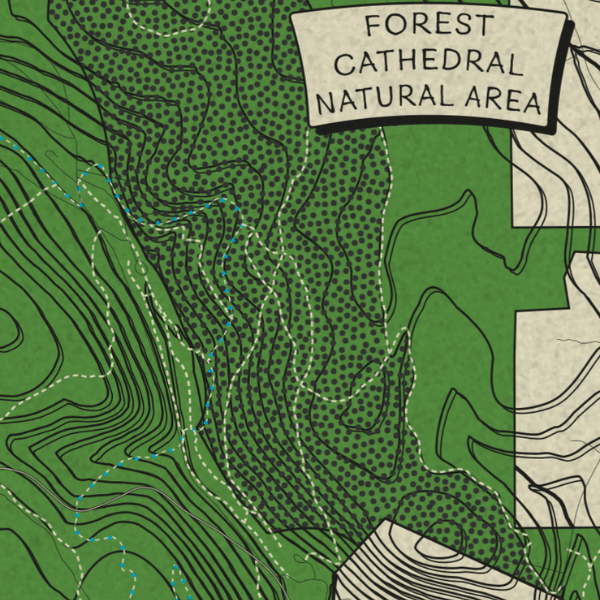Cook Forest State Park Topographic Map Print