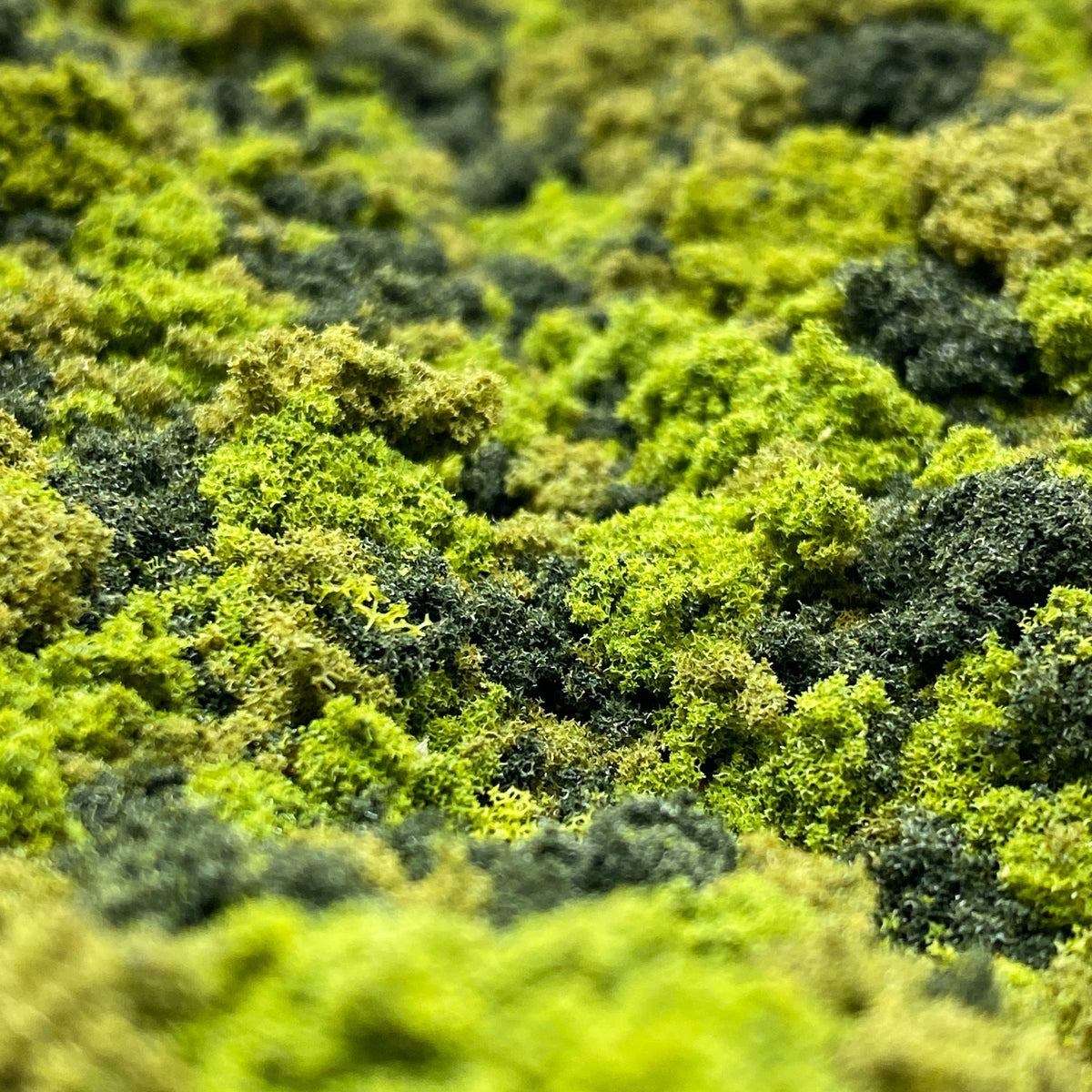 Topographic Fluffy Park Map