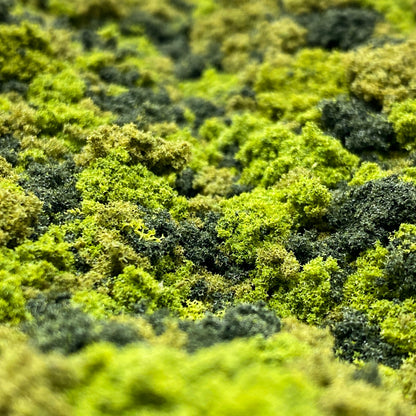 Topographic Fluffy Park Map
