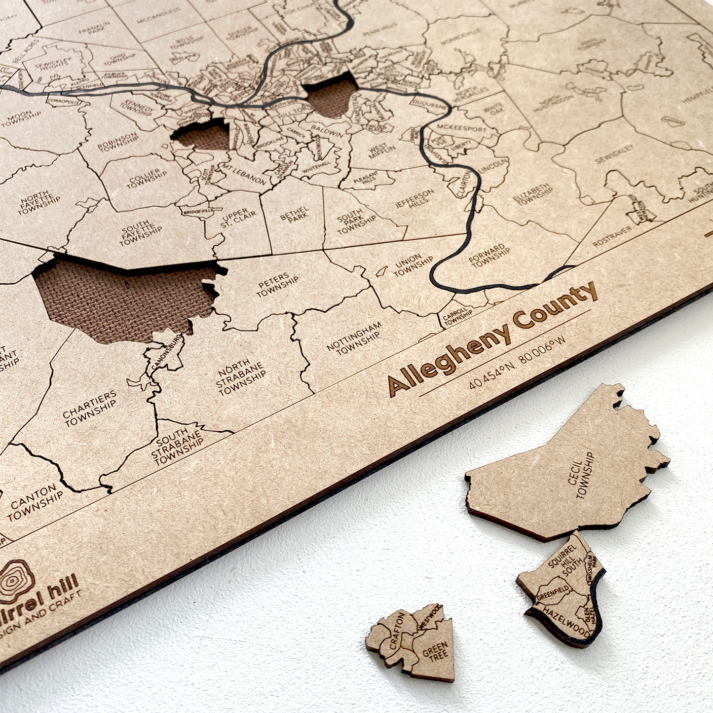 Allegheny County Puzzle Map