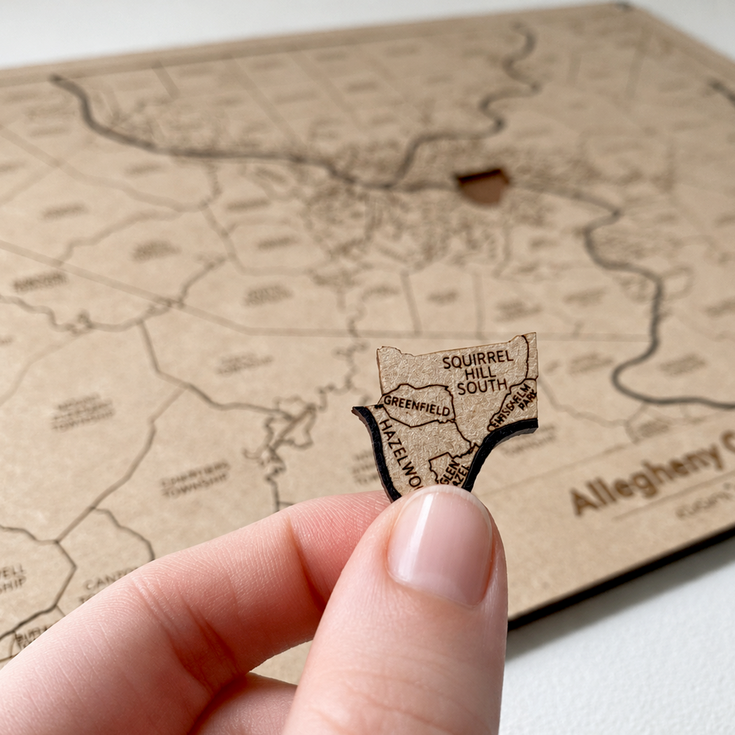 Allegheny County Puzzle Map