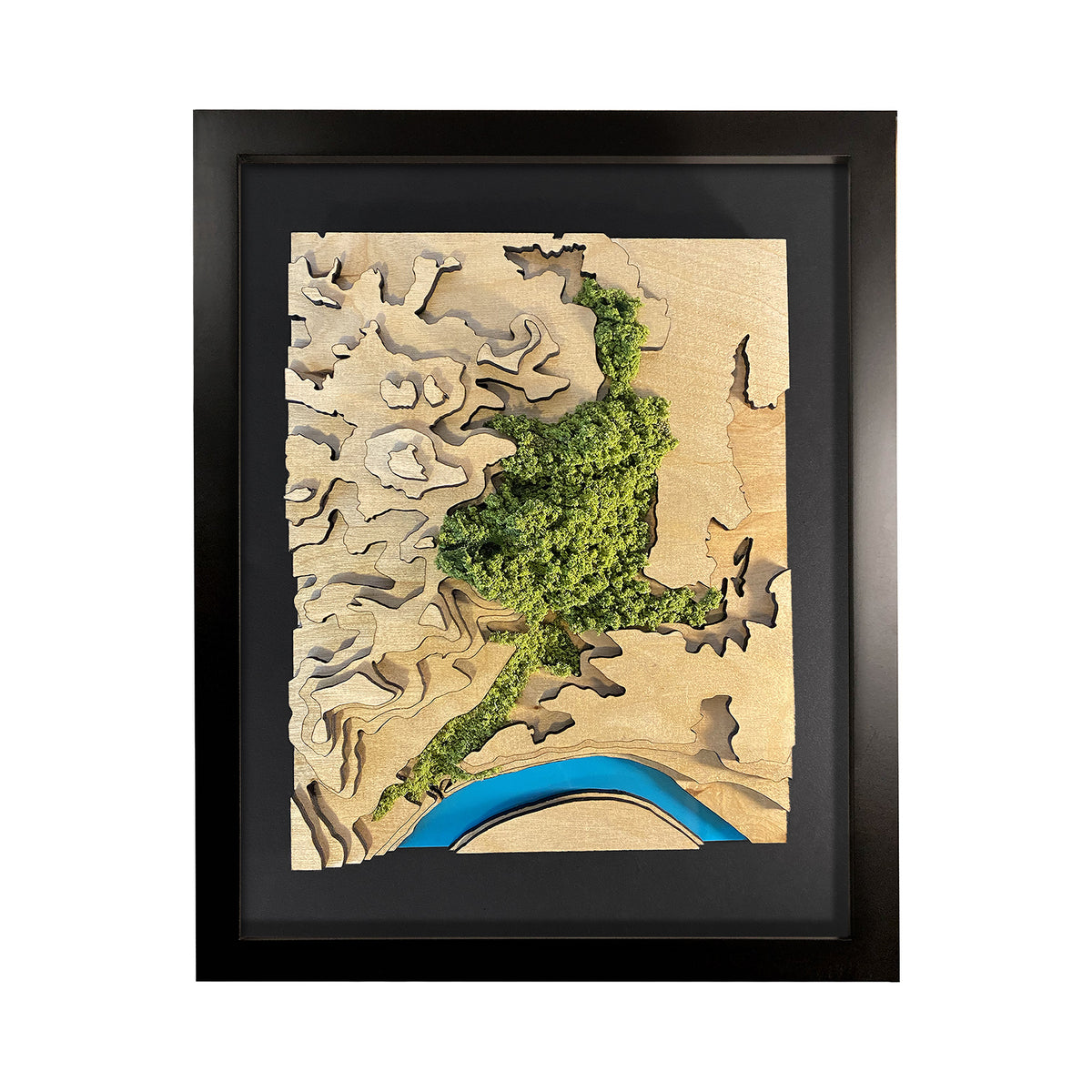Frick Map Frick Park Wood Topographic Map with Fuzz